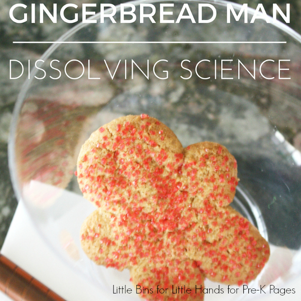free gingerbread man science 