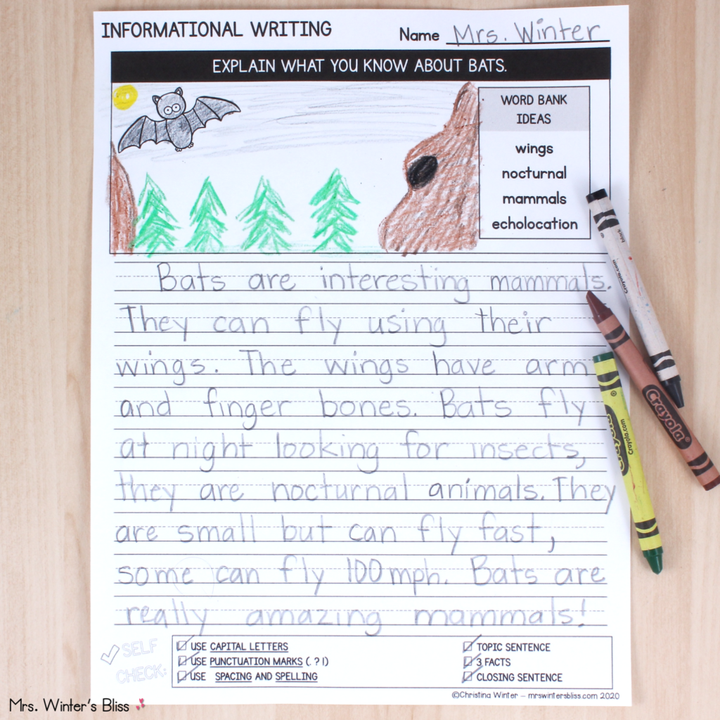 what is informational writing for grade 2